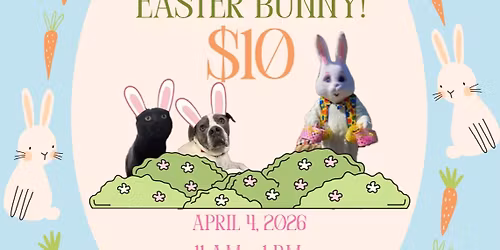 Pictures with the Easter Bunny