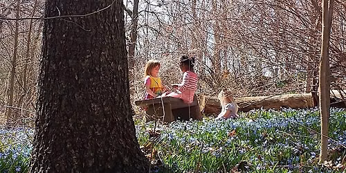 LifeWays Mini-Retreat: Finding Light and Levity in a Challenging World