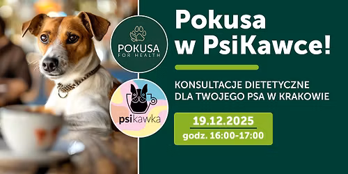 Pokusa w Psikawce! Konsultacje dietetyczne dla Twojego psa w Krakowie