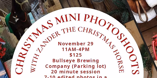 Christmas Mini Photoshoots with Zander the Christmas Horse