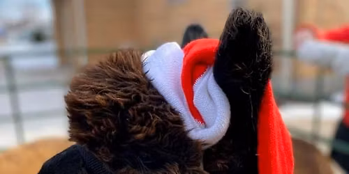 Holiday Open House 5