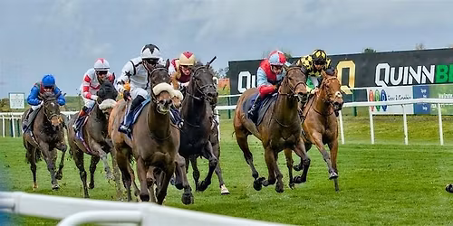 The Big Race Night Bash