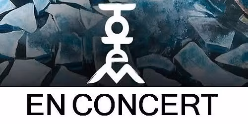 Concert ToTem au Comptoir des Copains