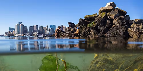 Revolutionary Harbor Lectures: Coastal Community Resilience in Boston