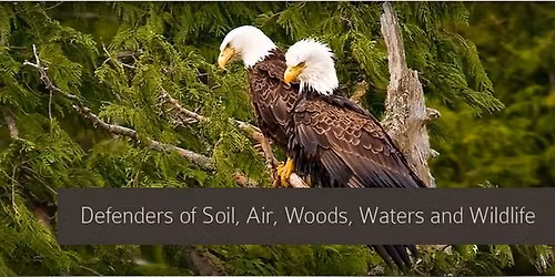 Tuesday Night 25 Bird League