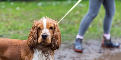 Monthly dog walk at NT Sandilands