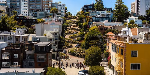 San Francisco Painted Ladies Quest