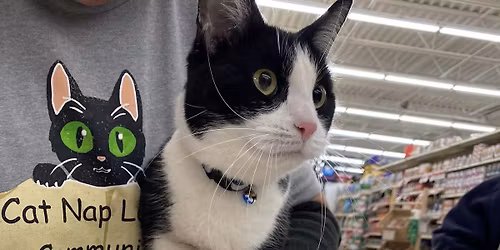 Toenail Trimming at Pet Supplies Plus Gull Road