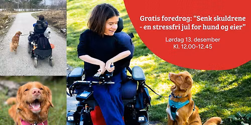 Gratis foredrag: "Senk skuldrene - en stressfri jul for hund og eier" \ud83c\udf84