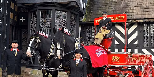 Shire horse event 