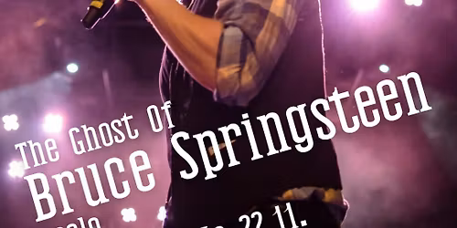 The Ghost of Bruce Springsteen soolo
