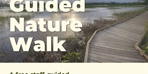 Guided Nature Walk
