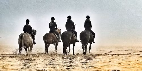 2. Sommer & Countryfest