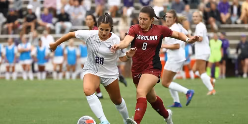 Parking Clemson Tigers at Furman Lady Paladins Womens Basketball