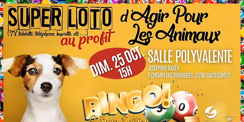 \ud83c\udf89 SUPER LOTO 2026 - Winter Edition