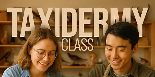 Beginners Taxidermy Class - Rat