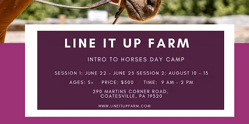 Intro to Horses Camp