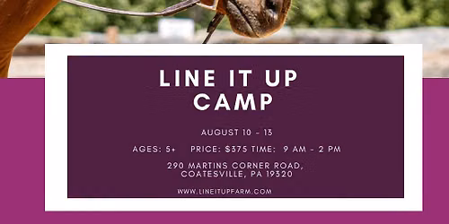 Line It Up Camp