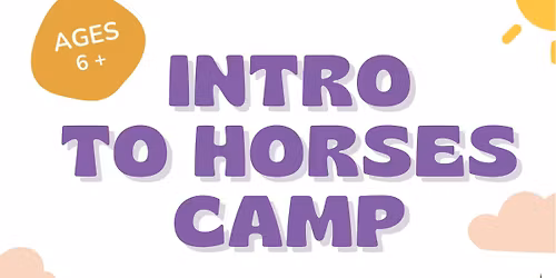 Intro to Horses Camp