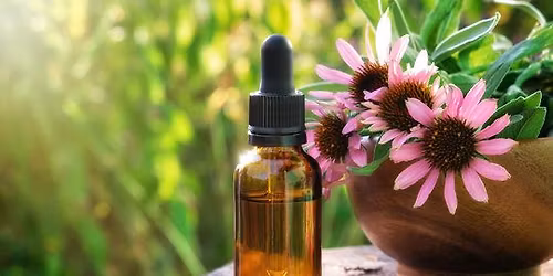 Herbal Medicine Making Fall Series: Herbal Tinctures w\/Dr. Ashley