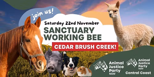 AJP Central Coast and Newcastle Sanctuary Working Bee