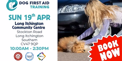 Long Itchington - Southam Dog First Aid Training \u2764\ufe0f\u200d\ud83e\ude79