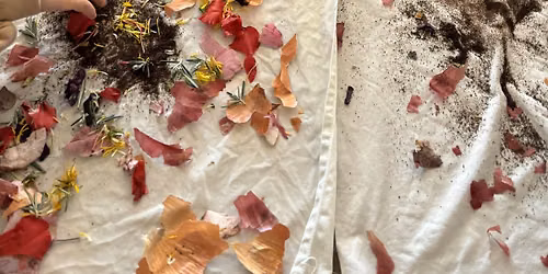 Eco Printing & Bundle Dyeing: A Hands-On Botanical Workshop