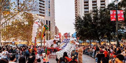 Lunar New Year Festival