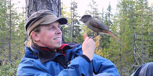 Exkursion, V\u00e4rdefull skog med Sebastian Kirppu (f\u00f6ranm\u00e4lan senast 20 april)