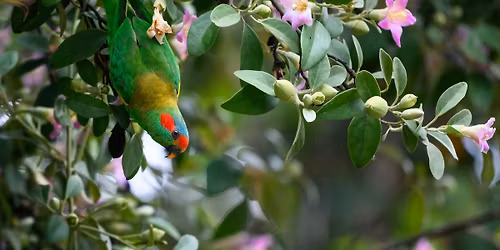 Akredituotas seminaras "MAK naudojimas dirbant su mokyklinio am\u017eiaus vaikais"