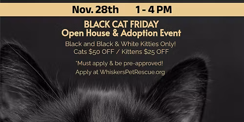 WHISKERS BLACK CAT FRIDAY Open House & Adoption Event