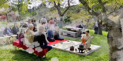 Kan-ow Chakai 2026 in Christchurch\uff08\u89b3\u685c\u8336\u4f1a New Zealand\uff09
