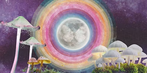 Dream Sanctuary of Hyphae - an Overnight experience in Genezarethkirche