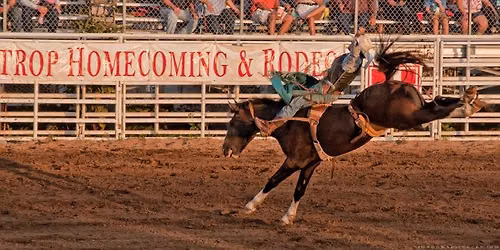 Bastrop Homecoming CPRA Rodeo
