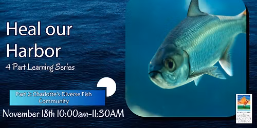 Heal Our Harbor: Charlotte\u2019s Diverse Fish Community