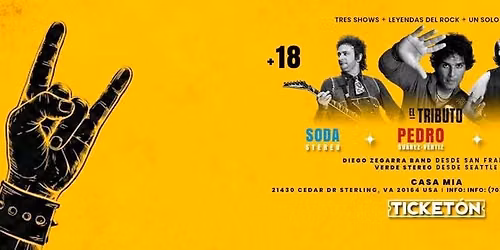EL TRIBUTO PEDRO SUAREZ VERTIZ. SODA STEREO Y ENANITOS VERDES EN VIRGINIA