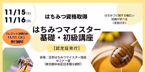 \uff3b\u30af\u30ec\u30b8\u30c3\u30c8\u6c7a\u6e08\u306e\u307f11\/11\u307e\u3067\u53d7\u4ed8\u5ef6\u9577\uff3d11\u6708\u306f\u3061\u307f\u3064\u30de\u30a4\u30b9\u30bf\u30fc\u57fa\u790e\u30fb\u521d\u7d1a\u8b1b\u5ea7\uff08\u8cc7\u683c\u53d6\u5f97\u30fb\u6771\u4eac\uff09