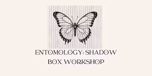 Entomology: Shadow Box Workshop
