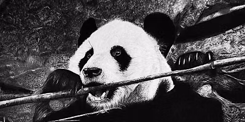 From LINE to LIFE: Black & White Art Exhibition
