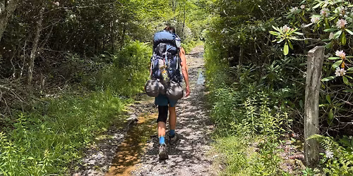 Wilderness Trail at Lake Junaluska