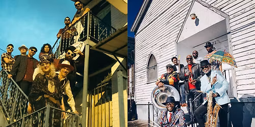 Parking Squirrel Nut Zippers