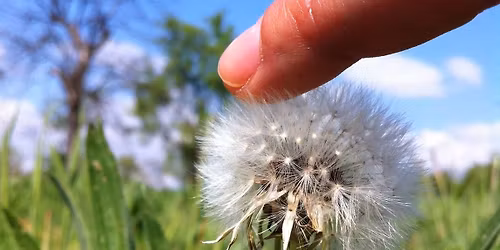 Workshop \u2013 Kraftplatz-\/Achtsamkeitswanderung