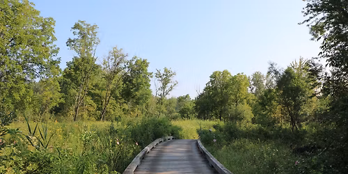 Evening Stroll @ Sand Ridge Nature Center