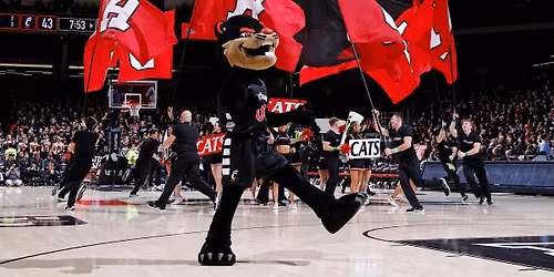 Cincinnati Bearcats at Houston Cougars Womens Basketball at Fertitta Center