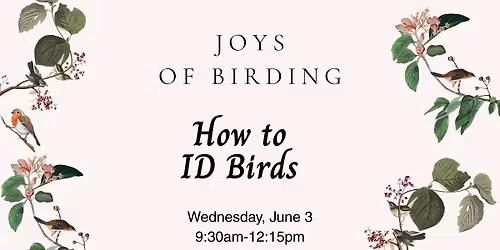 Joys of Birding: How to ID Birds