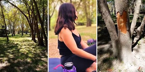 Sophro, Yoga & Nature - Séance Collective (Tous niveaux)