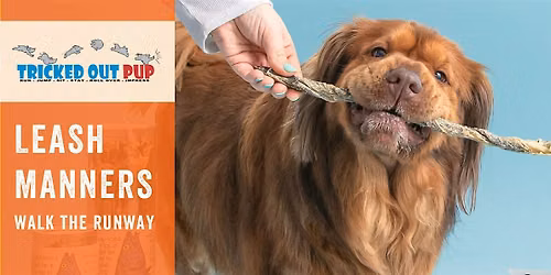 Leash Manners: Walk The Runway
