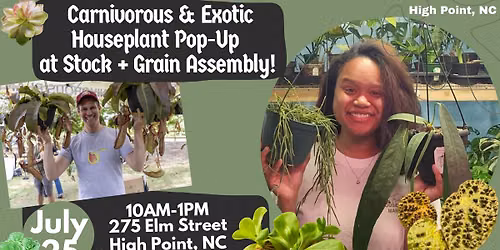 Carnivorous & Exotic Houseplant Pop-Up @Stock + Grain Assembly