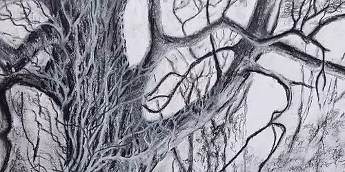 Mote Park Art Competition