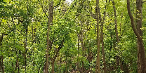 COURSE CLOSED for CC Meet 8AM-5PM